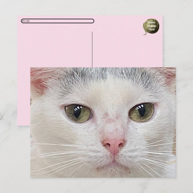 Postfranchissement de la carte postale de George t (Devant / Derrière)