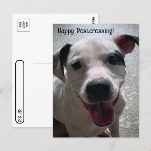 Postfranchissement Major de la carte postale Pit B