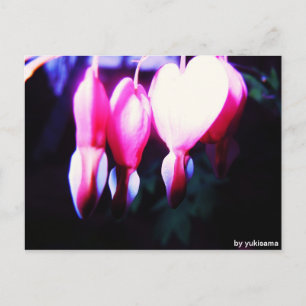 Postkarte - Blumenherzen Postcard