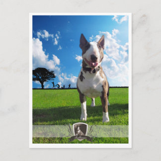 Postkarte Bullterrier Postcard