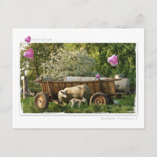 Postkarte: Frühling Postcard