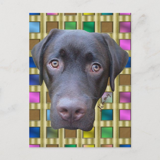 Postkarte Labrador Jimmy Postcard (Front)