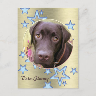 Postkarte Labrador Jimmy Postcard