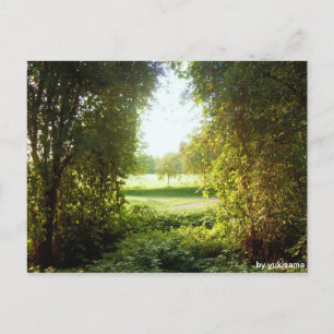 Postkarte - Laubfenster Postcard