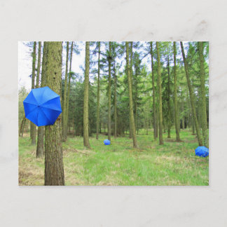 Postkarte - neulich im Wald Postcard