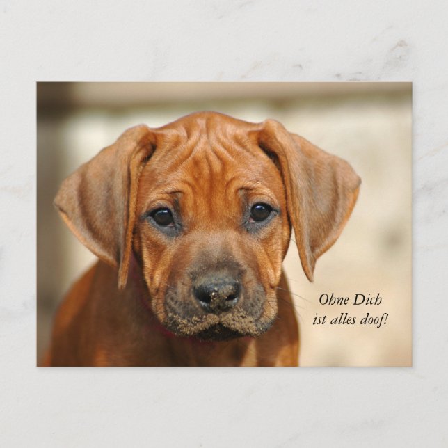Postkarte "Ohne Dich ist alles doof!" Postcard (Front)