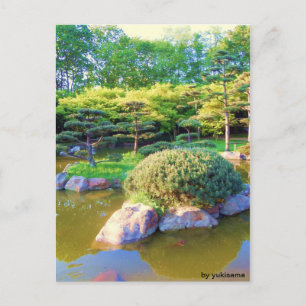 Postkarte - Schildkröten Insel Postcard