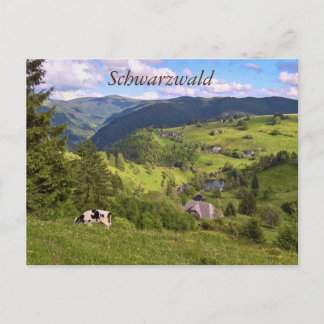 Postkarte: Wiesen und eine Kuh mit Panoramaansicht Postcard