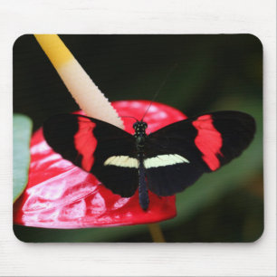 Postman Butterfly Mouse Pad