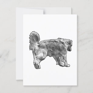 Postmarked Golden Hello Postcard