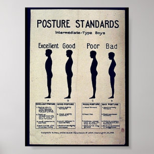 Posture Standards Poster
