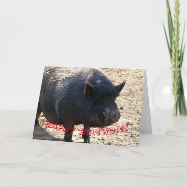 Pot bellied pig Birthday card (Front)