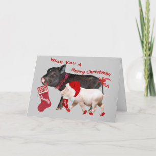 Pot Belly Pig Merry Christmas Holiday Card
