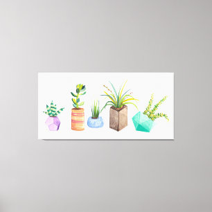 Pot of Succulents Canvas Print