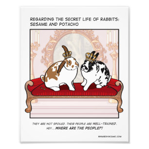 Potacho and Sesame in Luxury Photo Print