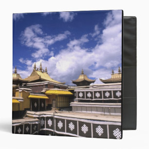 Potala Palace inside with steeples at the home Binder