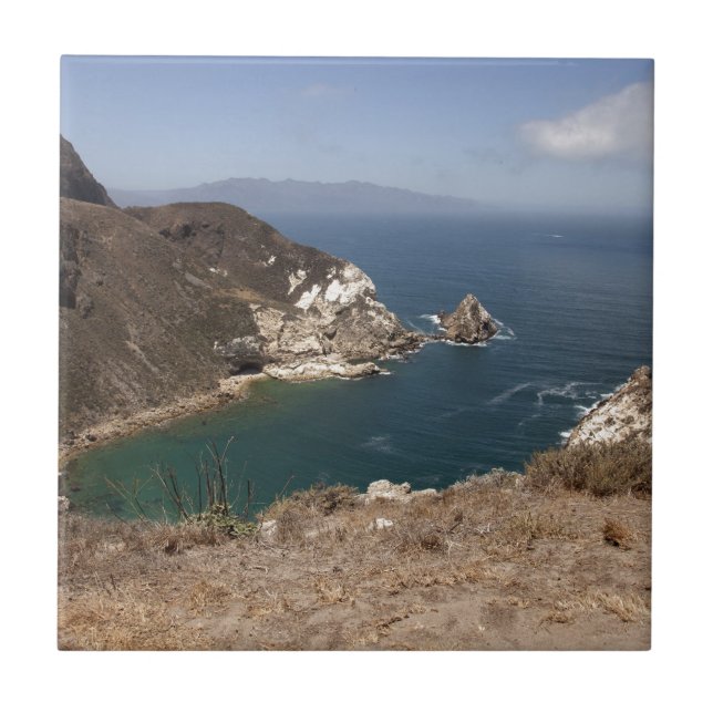 Potato Harbour Tile (Front)