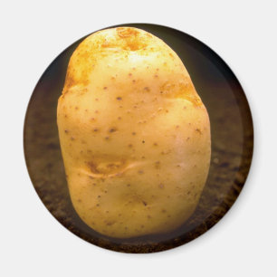 Potato on dirt magnet