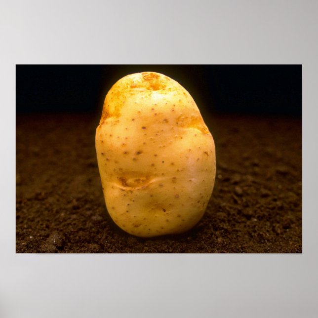 Potato on dirt poster (Front)