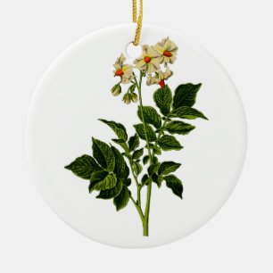 Potato plant ceramic ornament
