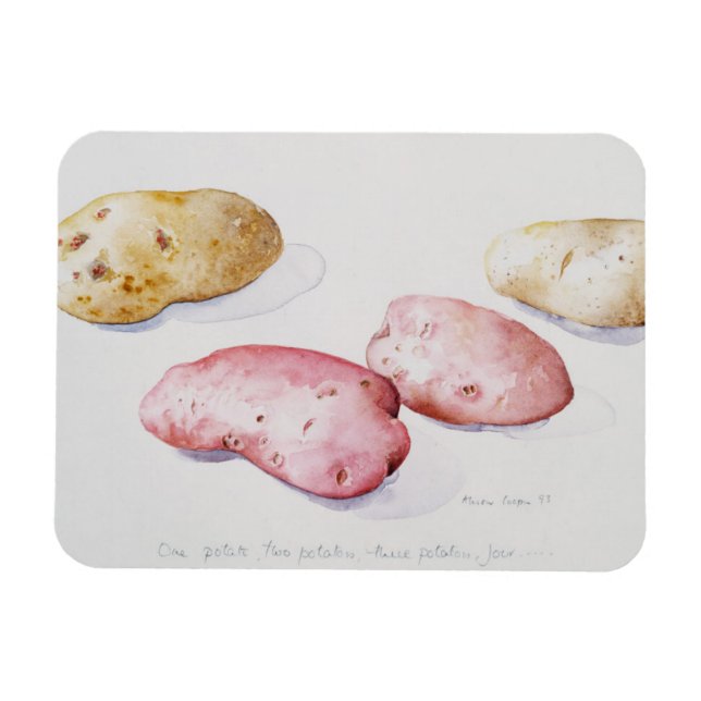 Potato Study 1993 Magnet (Horizontal)