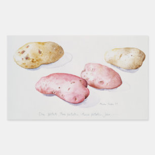 Potato Study 1993 Sticker