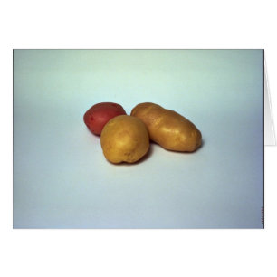 Potatoes on white background