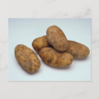 Potatoes Postcard