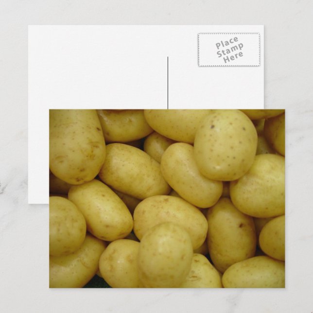 Potatoes Postcard (Front/Back)