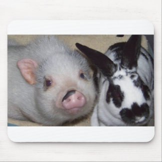 Potbelly Pig & Friend Mouse Pad