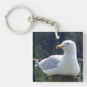 Poteau de Clôture Mouette Boisland Faune Sérénité