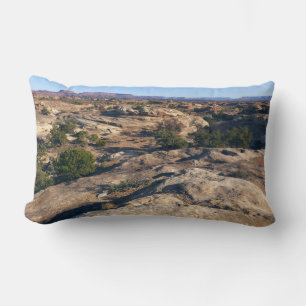 Pothole Point Trail at Canyonlands National Park Lumbar Pillow