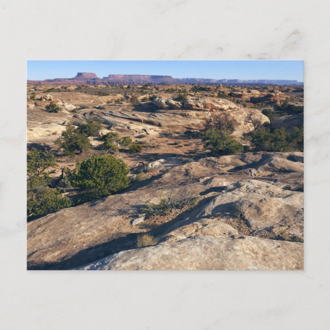 Pothole Point Trail at Canyonlands National Park Postcard (Front)