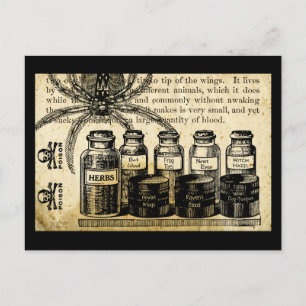Potions Spider Skull Cross Bones Poison Postcard
