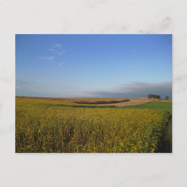 Potomac 1 postcard (Front)