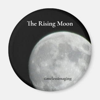 Potos on magnets, Kitchen Accessories, Magnets.  Magnet