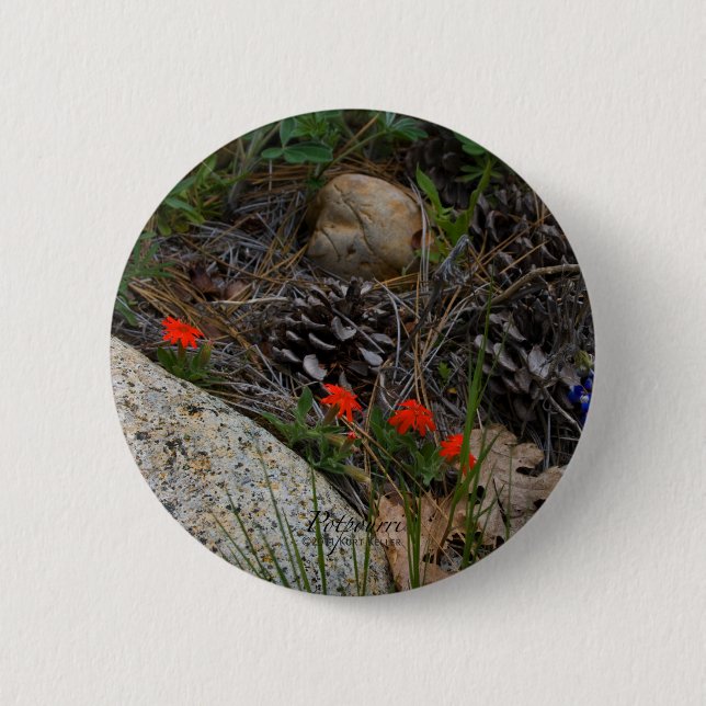 Potpourri 2 Inch Round Button (Front)