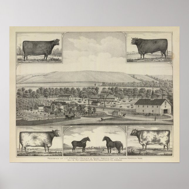 Pottawatomie County, Kansas Poster (Front)