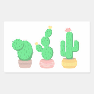 Potted Cacti - Cactus Plants Sticker