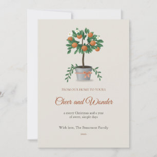 Potted Clementine Tree Family Christmas Card