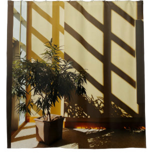 Potted green plant on brown wooden table