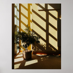 Potted green plant on brown wooden table poster