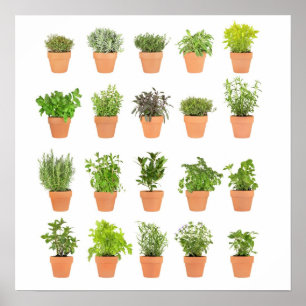 Potted herbal plants customize with your own text poster