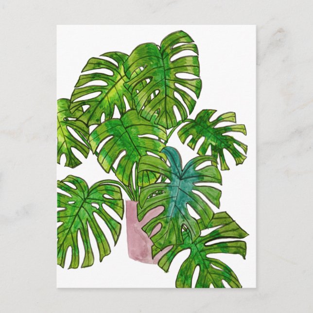 Potted Jungle I Postcard (Front)