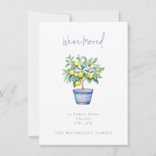 Potted Lemon Tree We've Moved New Address Announcement
