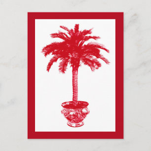 Potted Palm Tree, Deep Red and White Postcard