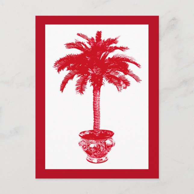Potted Palm Tree, Deep Red and White Postcard (Front)
