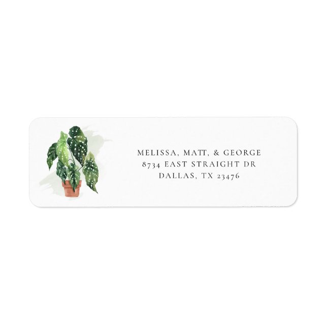 Potted Plant Botanical Return Address (Front)
