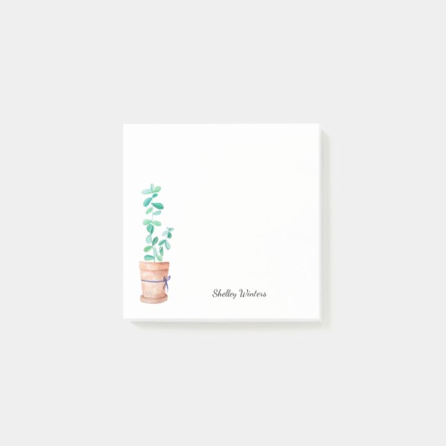 Potted plant with name post-it notes (Front)