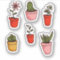 Potted Plants and Succulents Pack